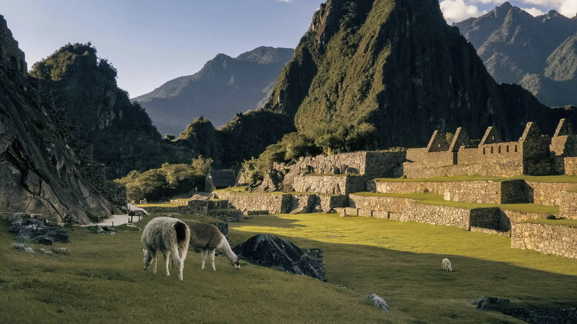 Inca Jungle to Machu Picchu | TreXperience Inca Jungle to Machu Picchu | TreXperience