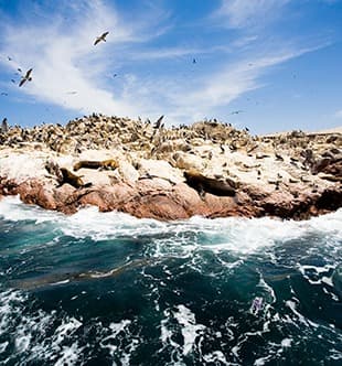 Cusco City Cusco City