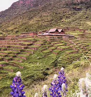 Huchuy Qosqo Huchuy Qosqo