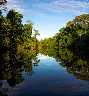 Cusco City Cusco City