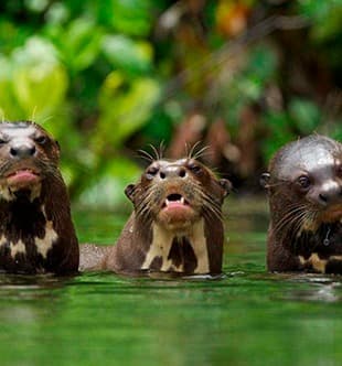 Short Inca Trail Short Inca Trail