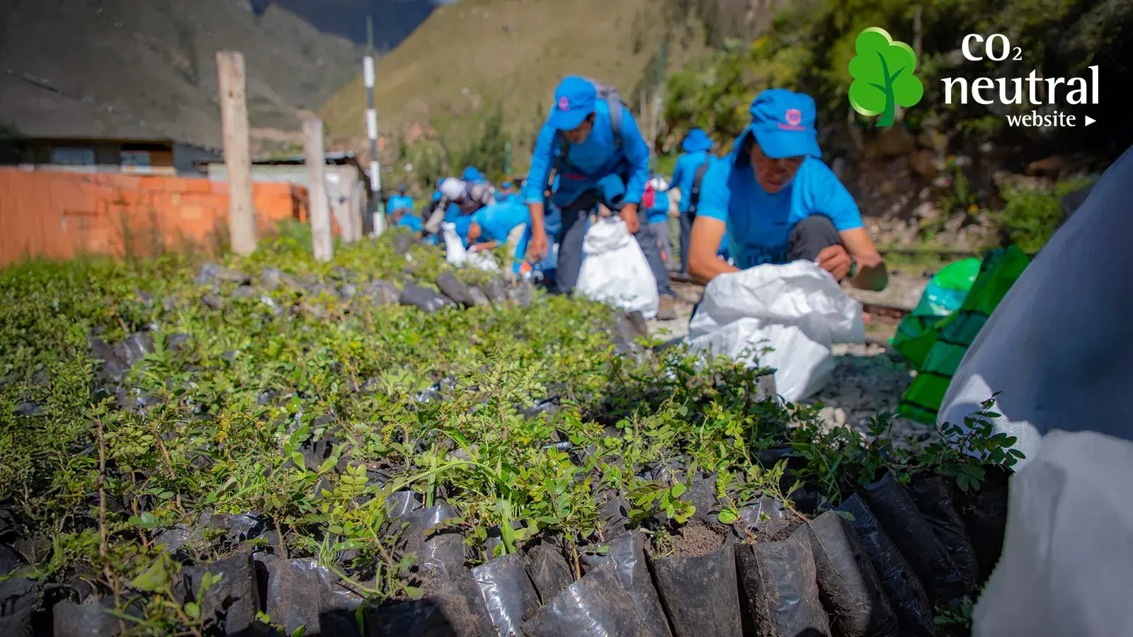 CO2 Neutral Website Certificate | TreXperience CO2 Neutral Website Certificate | TreXperience