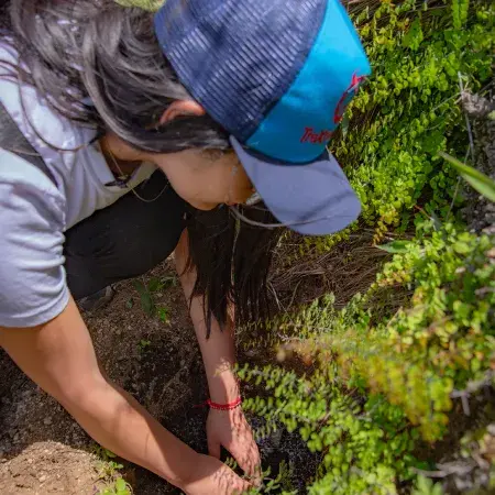 Sustainable Tourism Sustainable Tourism