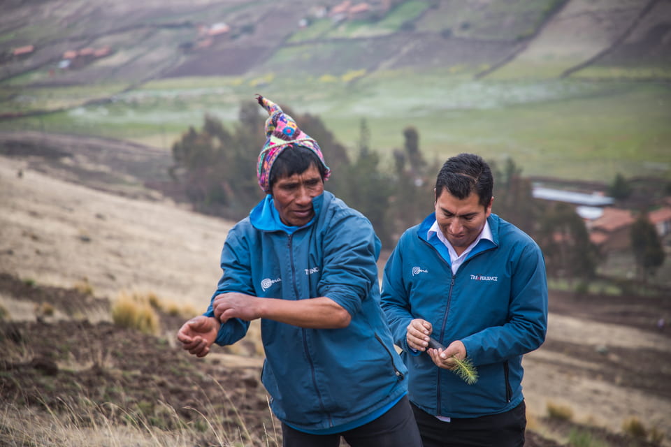 Environmental Projects Environmental Projects