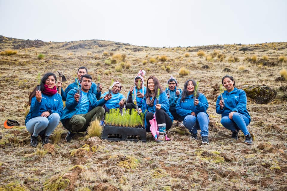 Environmental Projects Environmental Projects