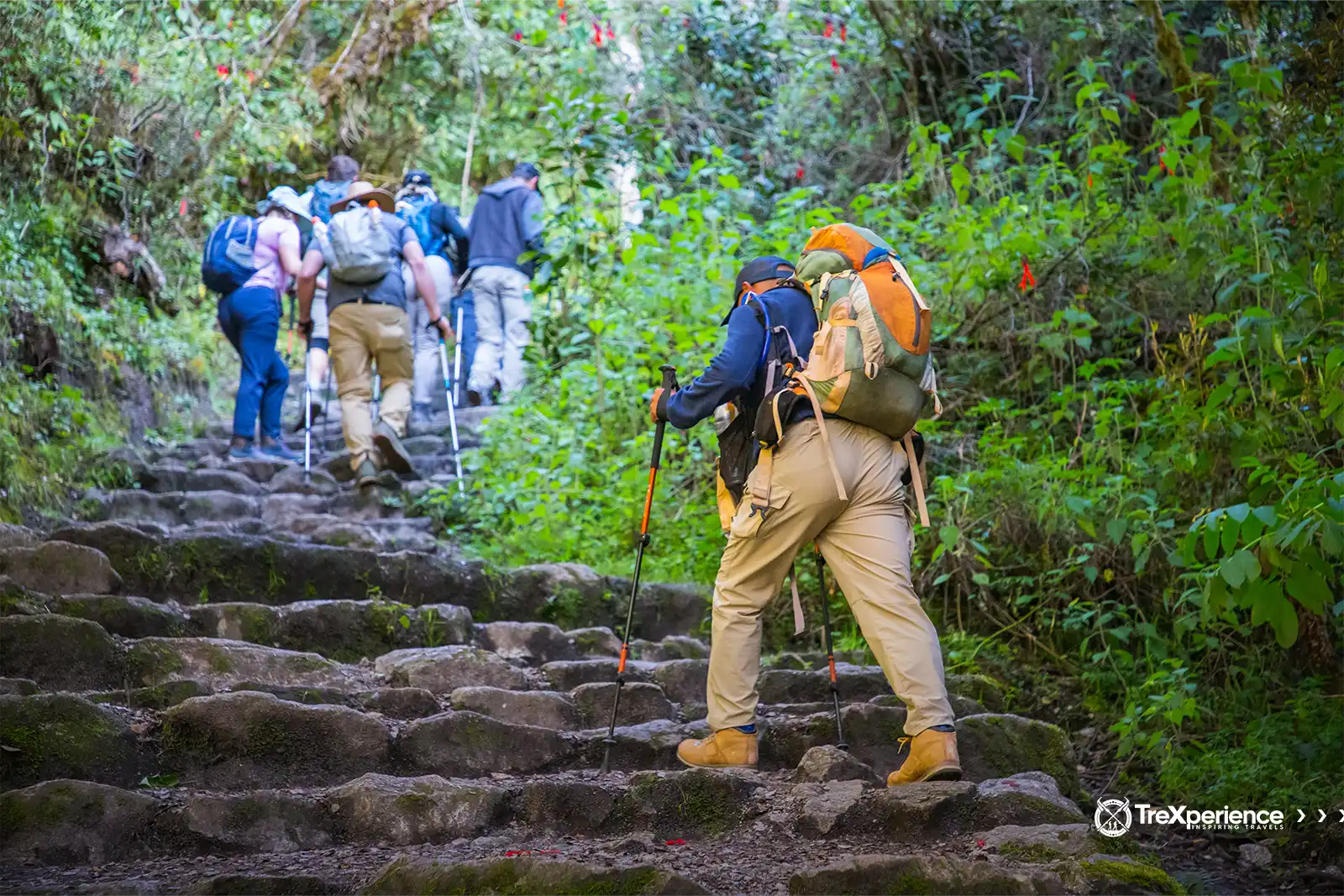 Group of hikers walking the Inca Trail to Machu Picchu Group of hikers walking the Inca Trail to Machu Picchu | TreXperience