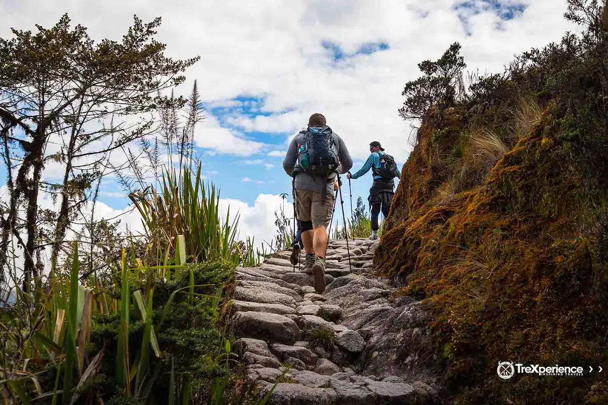 Hiking the Inca Trail Best time to hike the Inca Trail | TreXperience