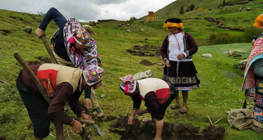 Potato Park Photo of Potato Park