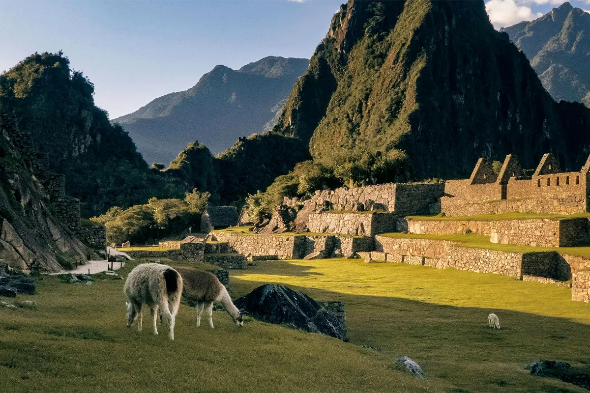 machu picchu inca citadel | TreXperience machu picchu inca citadel | TreXperience