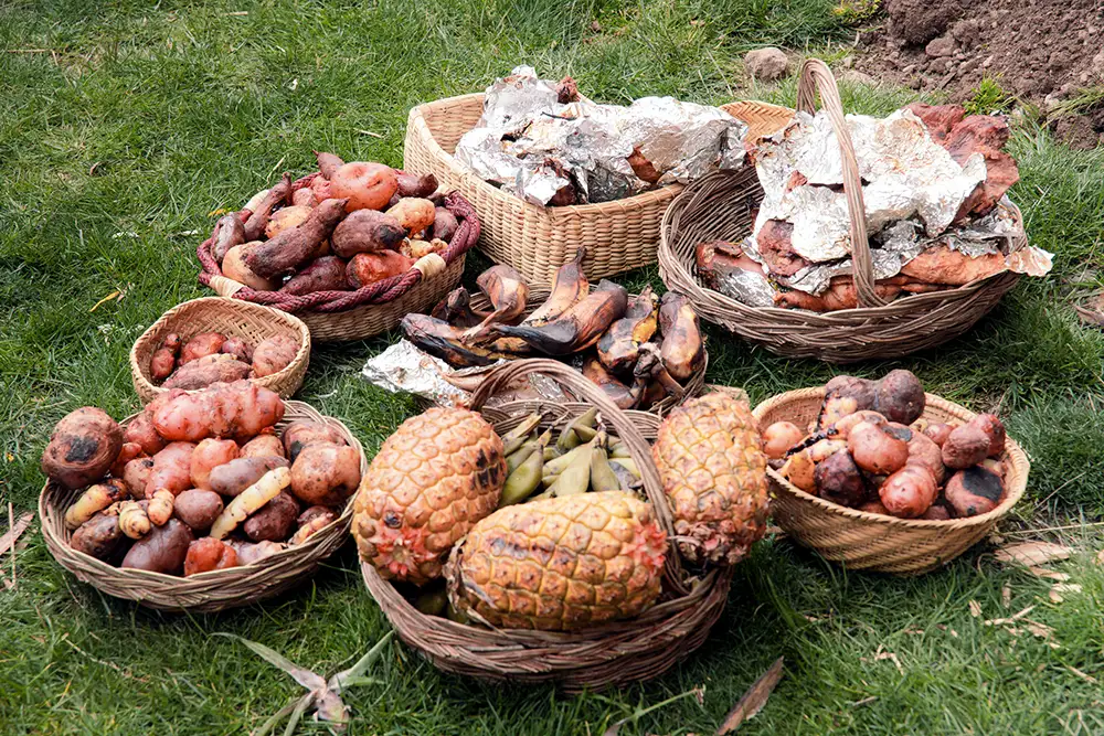 Pachamanca barbecue Pachamanca barbecue - Salkantay Trek 4 Days to Machu Picchu | TreXperience