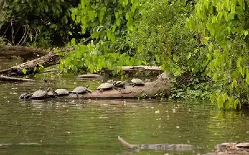 Path of the Incas and Peruvian Culture