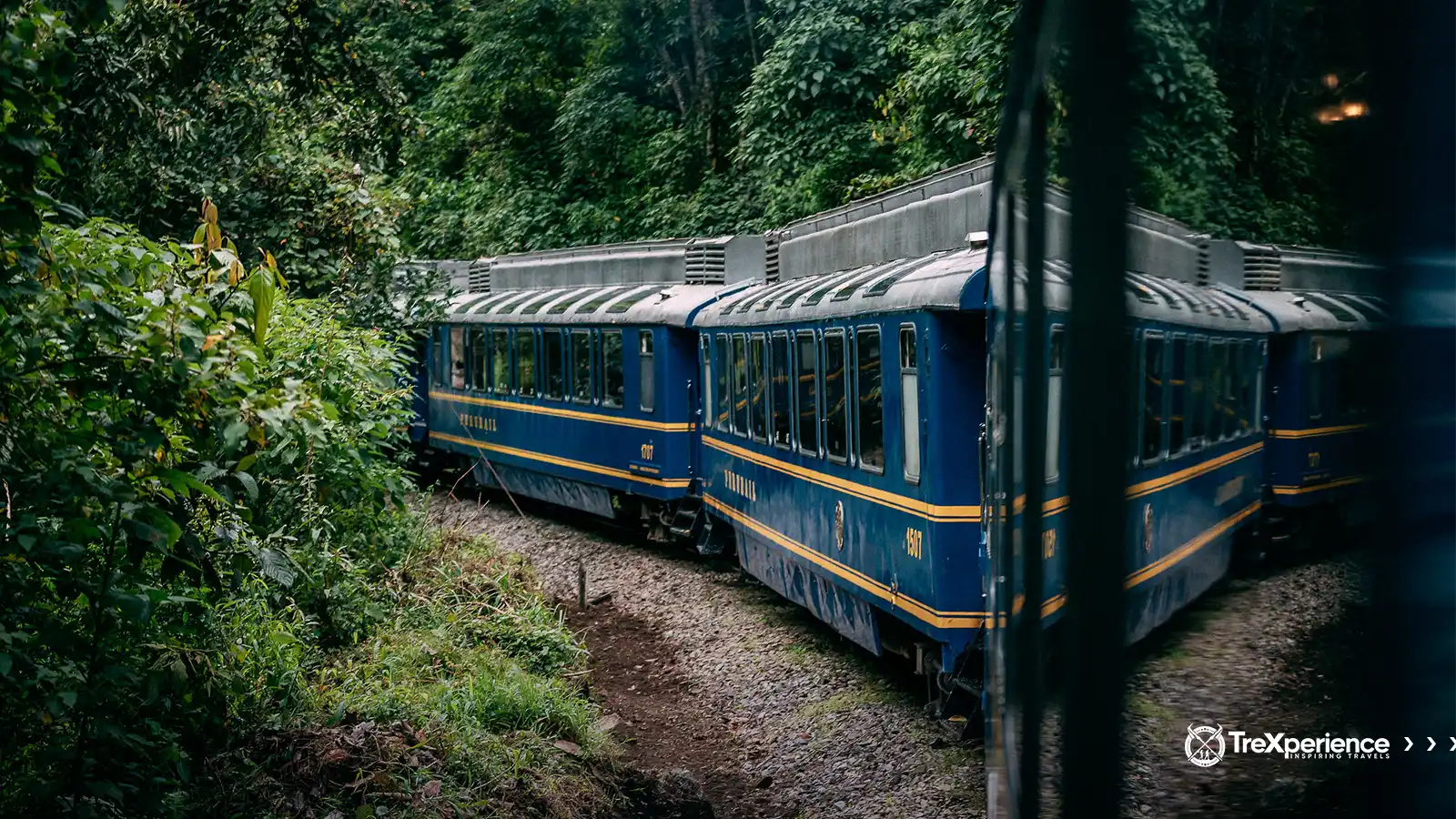 PeruRail train Blue PeruRail train passing through lush greenery on its way to Machu Picchu | TreXperience